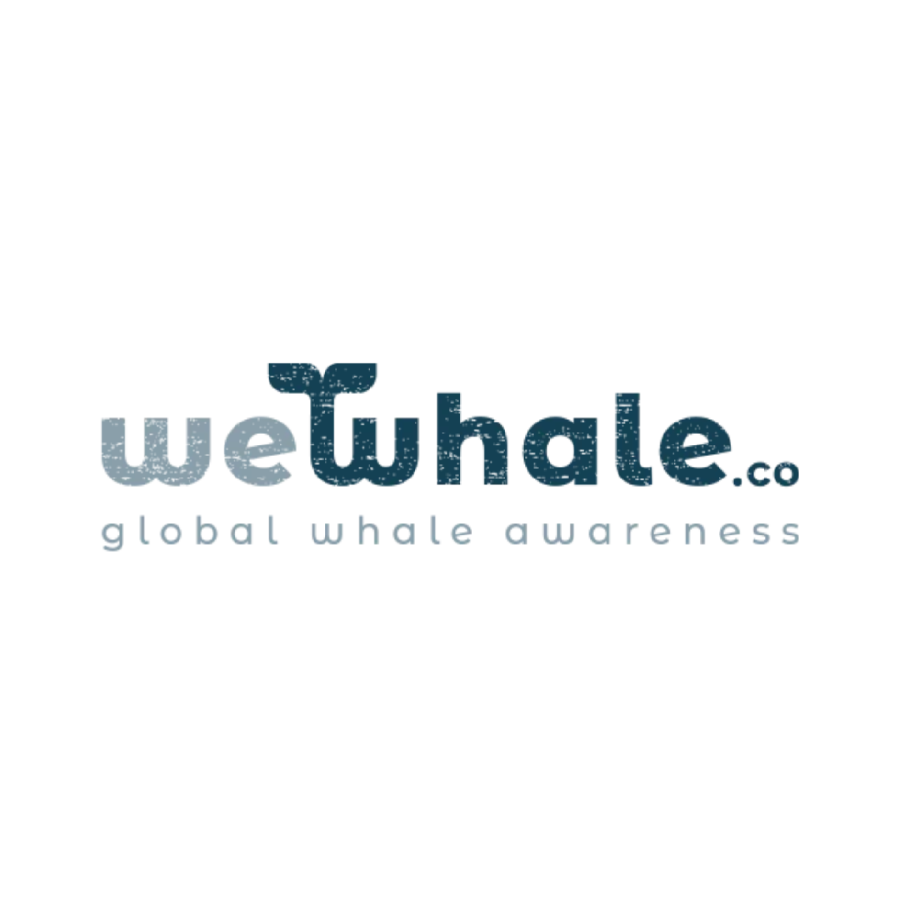 WeWhale