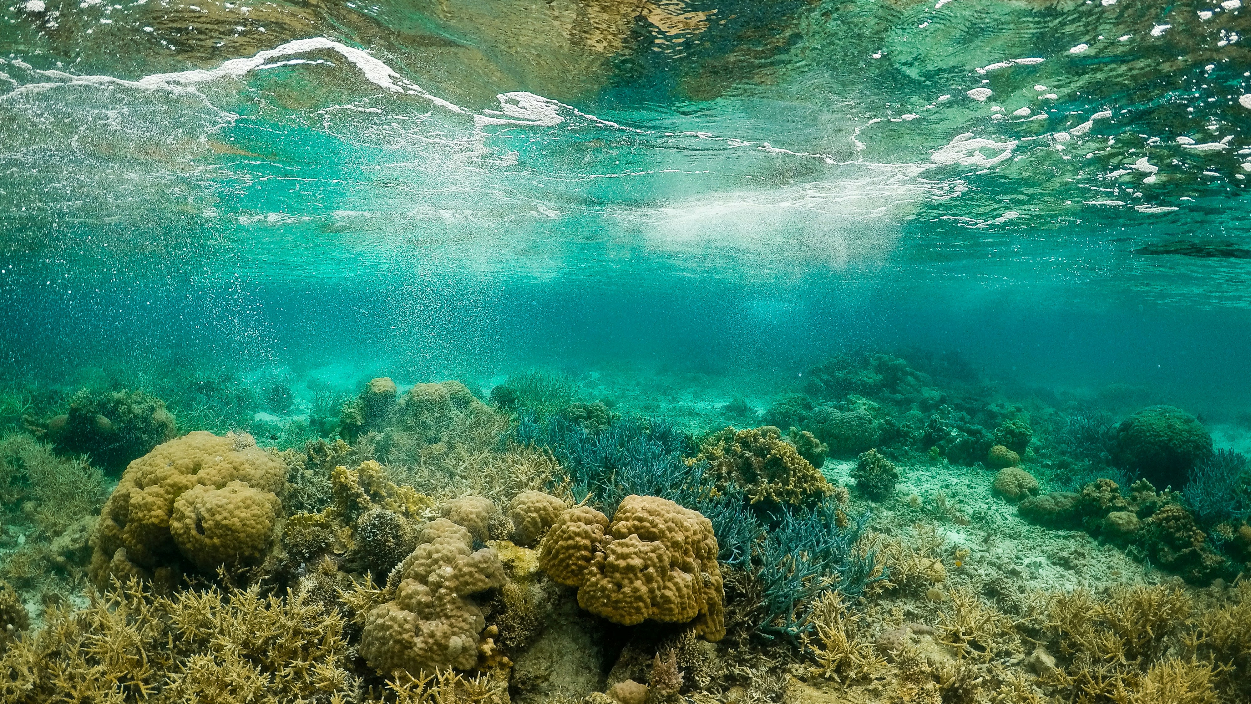 aerial view of green and brown mountains and body of water